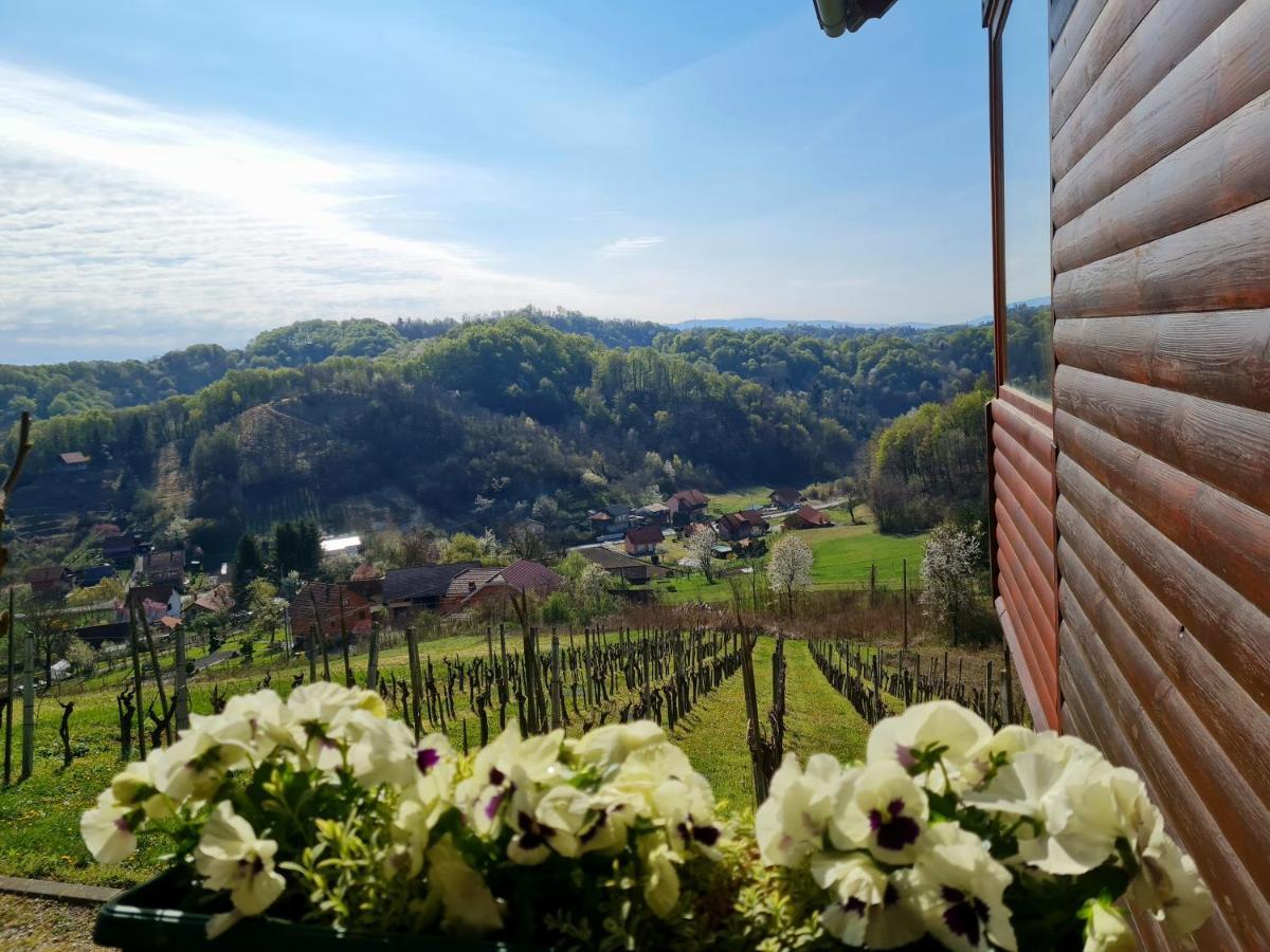 Ruralna Kuca Za Odmor Rajski Mir Villa Tuhelj Exterior foto