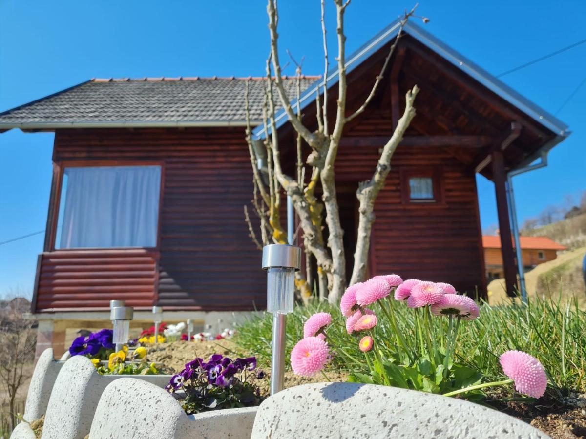 Ruralna Kuca Za Odmor Rajski Mir Villa Tuhelj Exterior foto