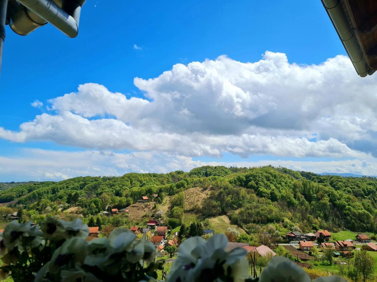 Ruralna Kuca Za Odmor Rajski Mir Villa Tuhelj Exterior foto