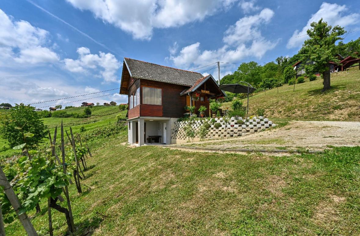 Ruralna Kuca Za Odmor Rajski Mir Villa Tuhelj Exterior foto