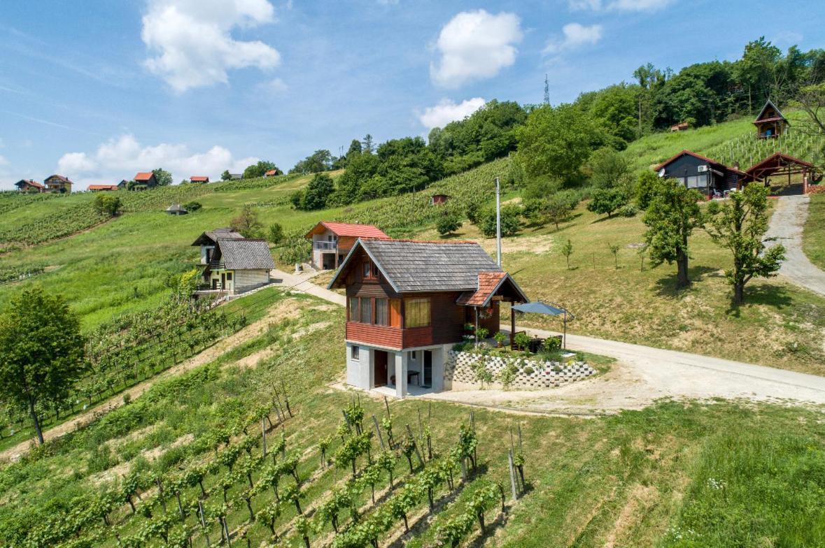 Ruralna Kuca Za Odmor Rajski Mir Villa Tuhelj Exterior foto